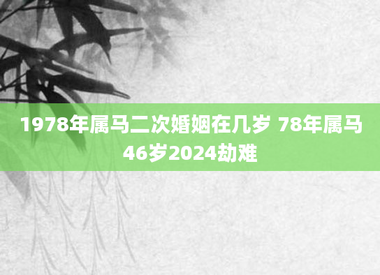 1978年属马二次婚姻在几岁 78年属马46岁2024劫难