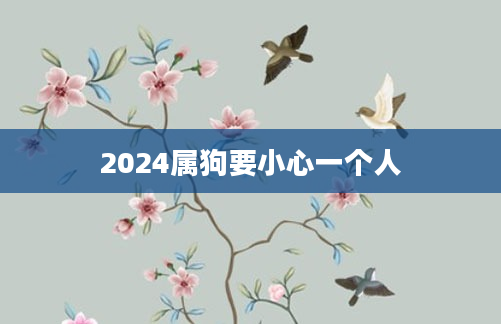 2024属狗要小心一个人