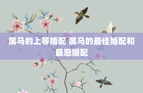属马的上等婚配 属马的最佳婚配和最忌婚配
