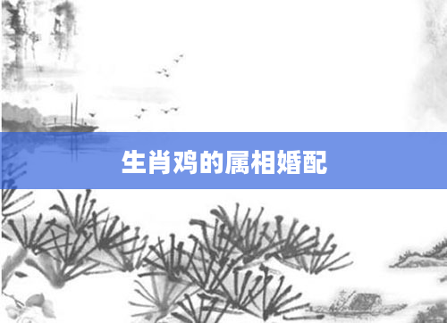 生肖鸡的属相婚配