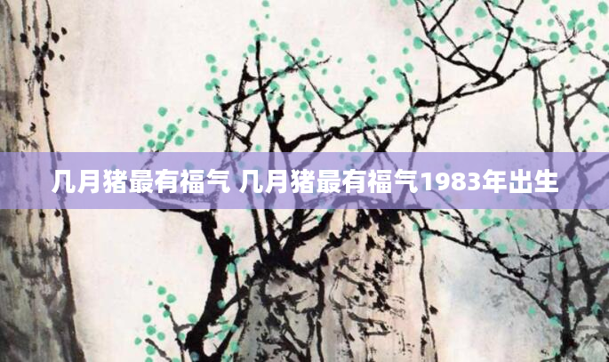 几月猪最有福气 几月猪最有福气1983年出生