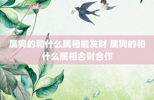 属狗的和什么属相能发财 属狗的和什么属相合财合作