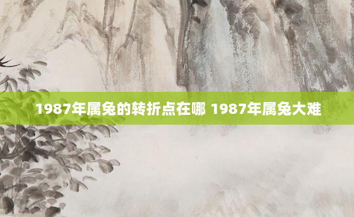 1987年属兔的转折点在哪 1987年属兔大难