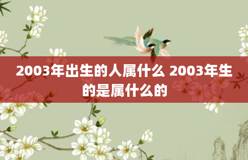 2003年出生的人属什么 2003年生的是属什么的