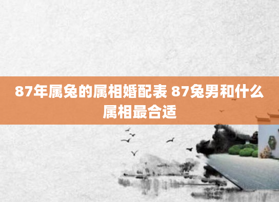 87年属兔的属相婚配表 87兔男和什么属相最合适