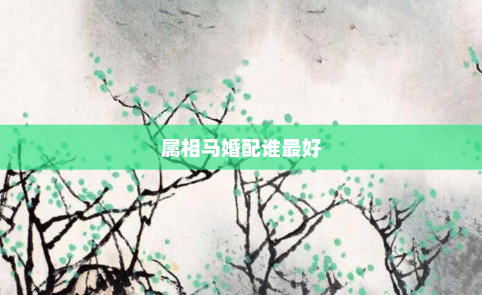 属相马婚配谁最好
