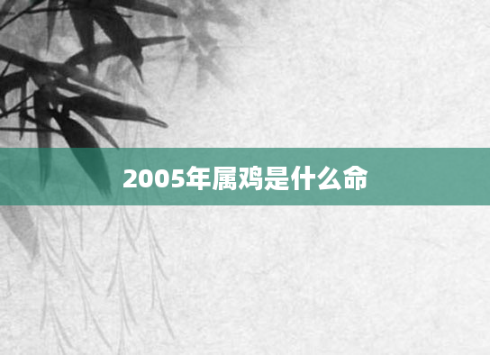 2005年属鸡是什么命
