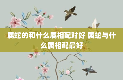 属蛇的和什么属相配对好 属蛇与什么属相配最好