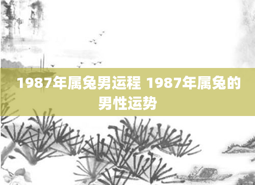 1987年属兔男运程 1987年属兔的男性运势