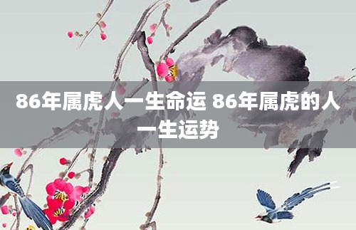 86年属虎人一生命运 86年属虎的人一生运势