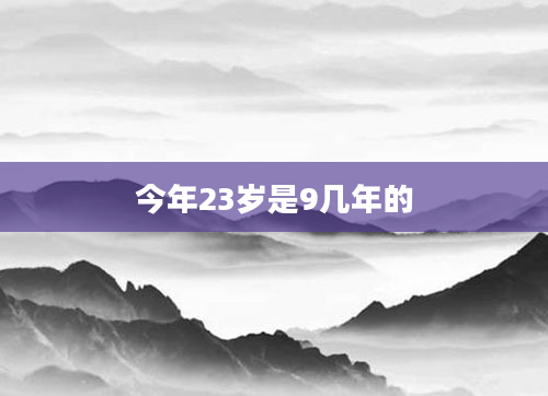 今年23岁是9几年的