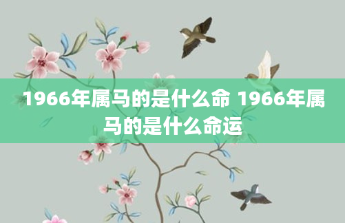 1966年属马的是什么命 1966年属马的是什么命运