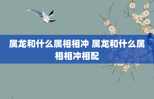 属龙和什么属相相冲 属龙和什么属相相冲相配