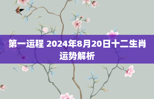 第一运程 2024年8月20日十二生肖运势解析