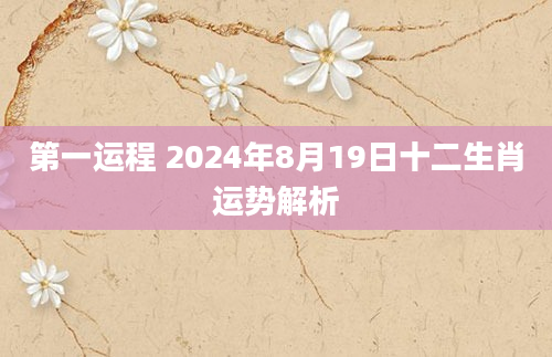 第一运程 2024年8月19日十二生肖运势解析