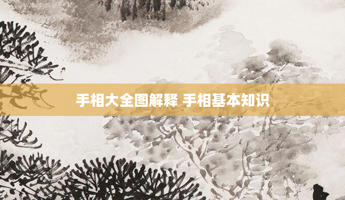 手相大全图解释 手相基本知识