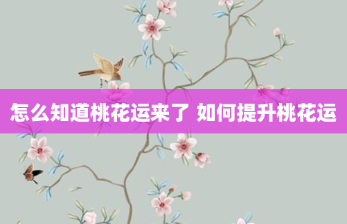 怎么知道桃花运来了 如何提升桃花运