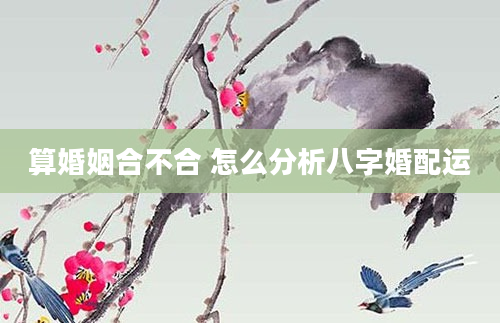算婚姻合不合 怎么分析八字婚配运