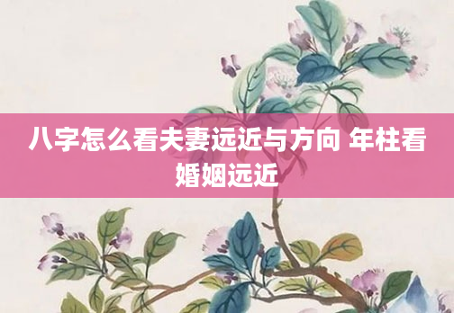 八字怎么看夫妻远近与方向 年柱看婚姻远近