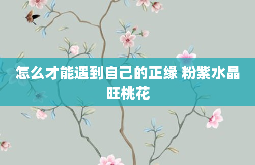 怎么才能遇到自己的正缘 粉紫水晶旺桃花