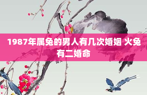 1987年属兔的男人有几次婚姻 火兔有二婚命