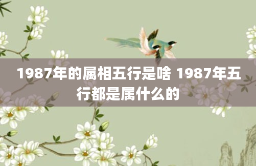 1987年的属相五行是啥 1987年五行都是属什么的