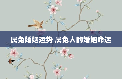 属兔婚姻运势 属兔人的婚姻命运