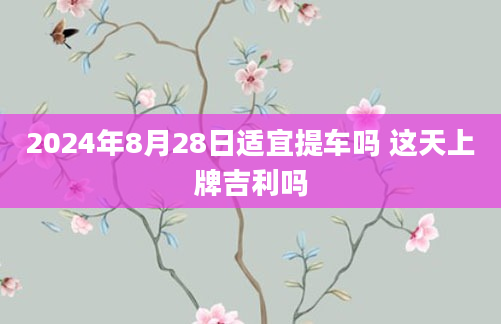 2024年8月28日适宜提车吗 这天上牌吉利吗