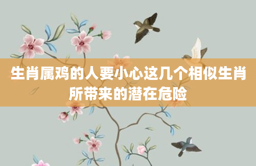 生肖属鸡的人要小心这几个相似生肖所带来的潜在危险
