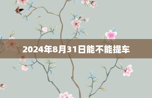 2024年8月31日能不能提车
