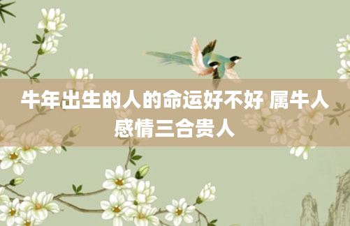 牛年出生的人的命运好不好 属牛人感情三合贵人