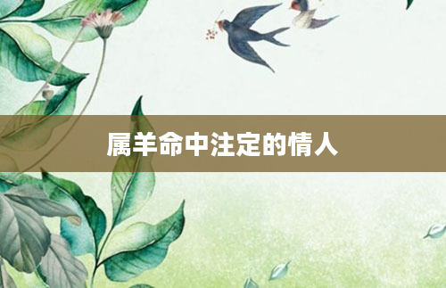 属羊命中注定的情人