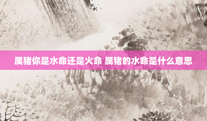 属猪你是水命还是火命 属猪的水命是什么意思