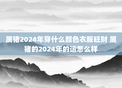 属猪2024年穿什么颜色衣服旺财 属猪的2024年的运怎么样