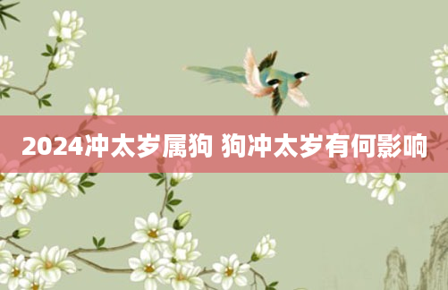 2024冲太岁属狗 狗冲太岁有何影响
