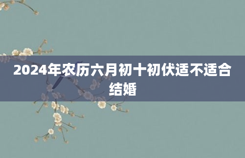 2024年农历六月初十初伏适不适合结婚