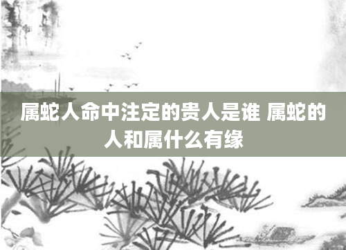 属蛇人命中注定的贵人是谁 属蛇的人和属什么有缘