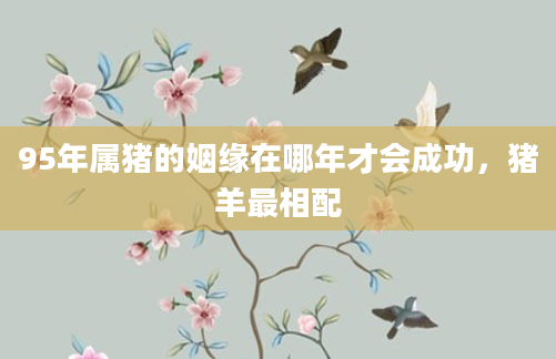 95年属猪的姻缘在哪年才会成功，猪羊最相配