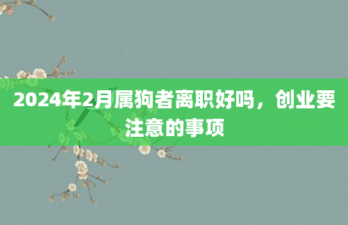 2024年2月属狗者离职好吗，创业要注意的事项
