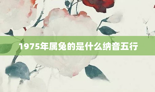1975年属兔的是什么纳音五行