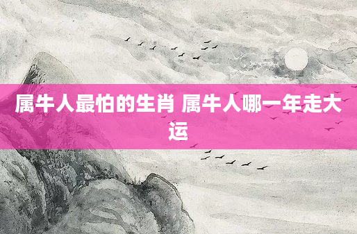 属牛人最怕的生肖 属牛人哪一年走大运