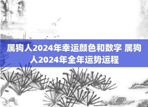 属狗人2024年幸运颜色和数字 属狗人2024年全年运势运程
