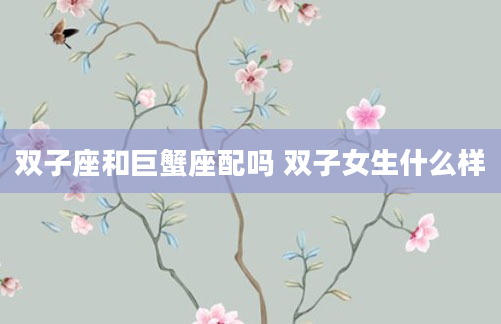 双子座和巨蟹座配吗 双子女生什么样