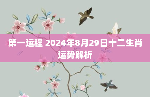 第一运程 2024年8月29日十二生肖运势解析