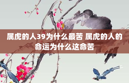 属虎的人39为什么最苦 属虎的人的命运为什么这命苦