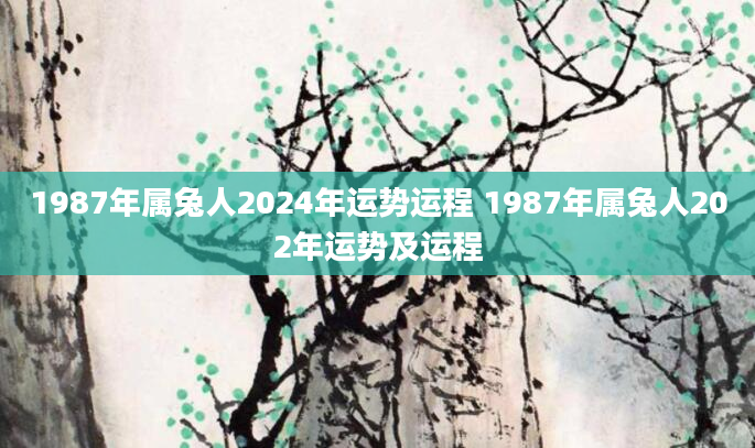 1987年属兔人2024年运势运程 1987年属兔人202年运势及运程