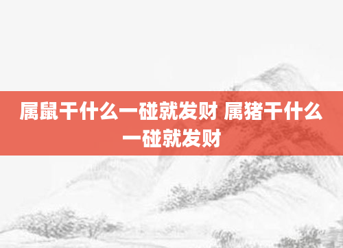 属鼠干什么一碰就发财 属猪干什么一碰就发财