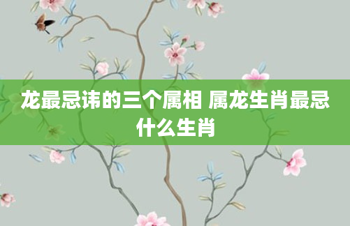 龙最忌讳的三个属相 属龙生肖最忌什么生肖