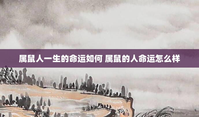 属鼠人一生的命运如何 属鼠的人命运怎么样
