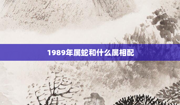 1989年属蛇和什么属相配